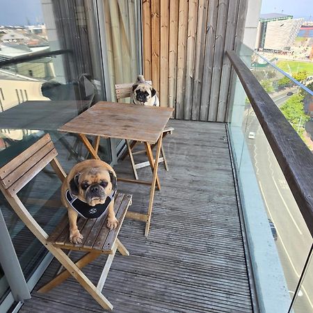 Benji & Milos Apartments ベルファスト エクステリア 写真